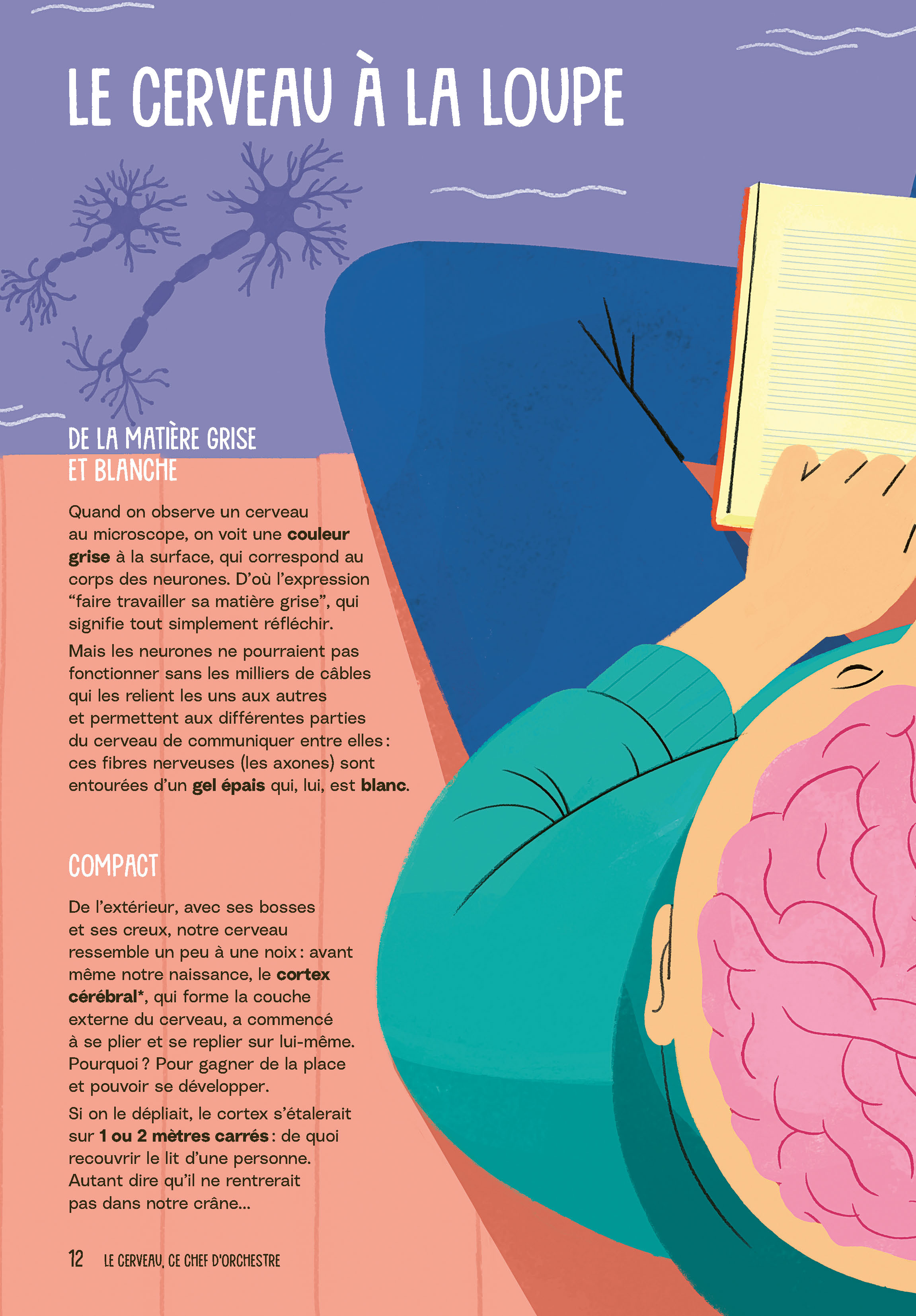 AU COEUR DE TON CERVEAU