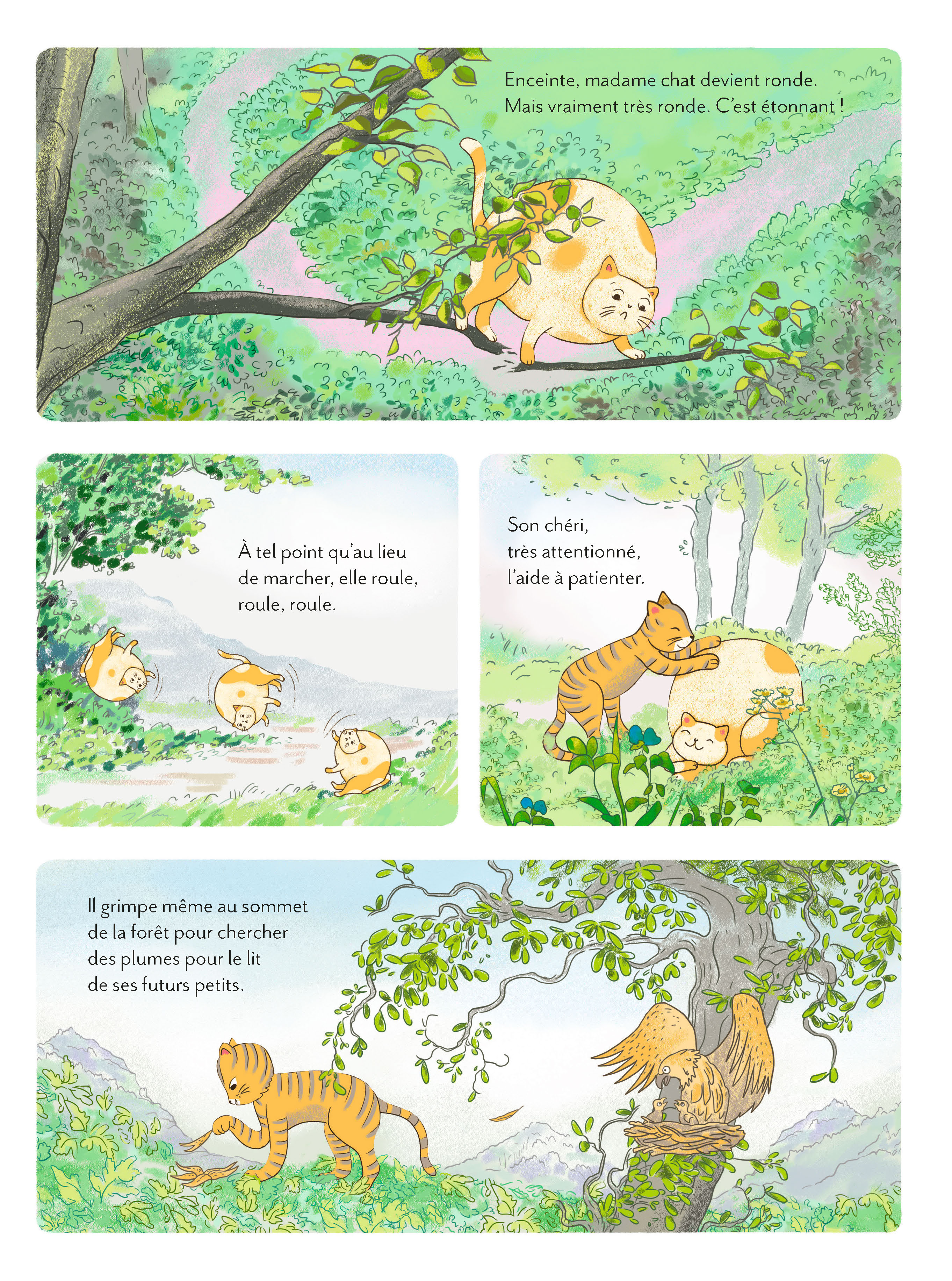 PAPA CHAT CHERCHE SES CENT CHATS