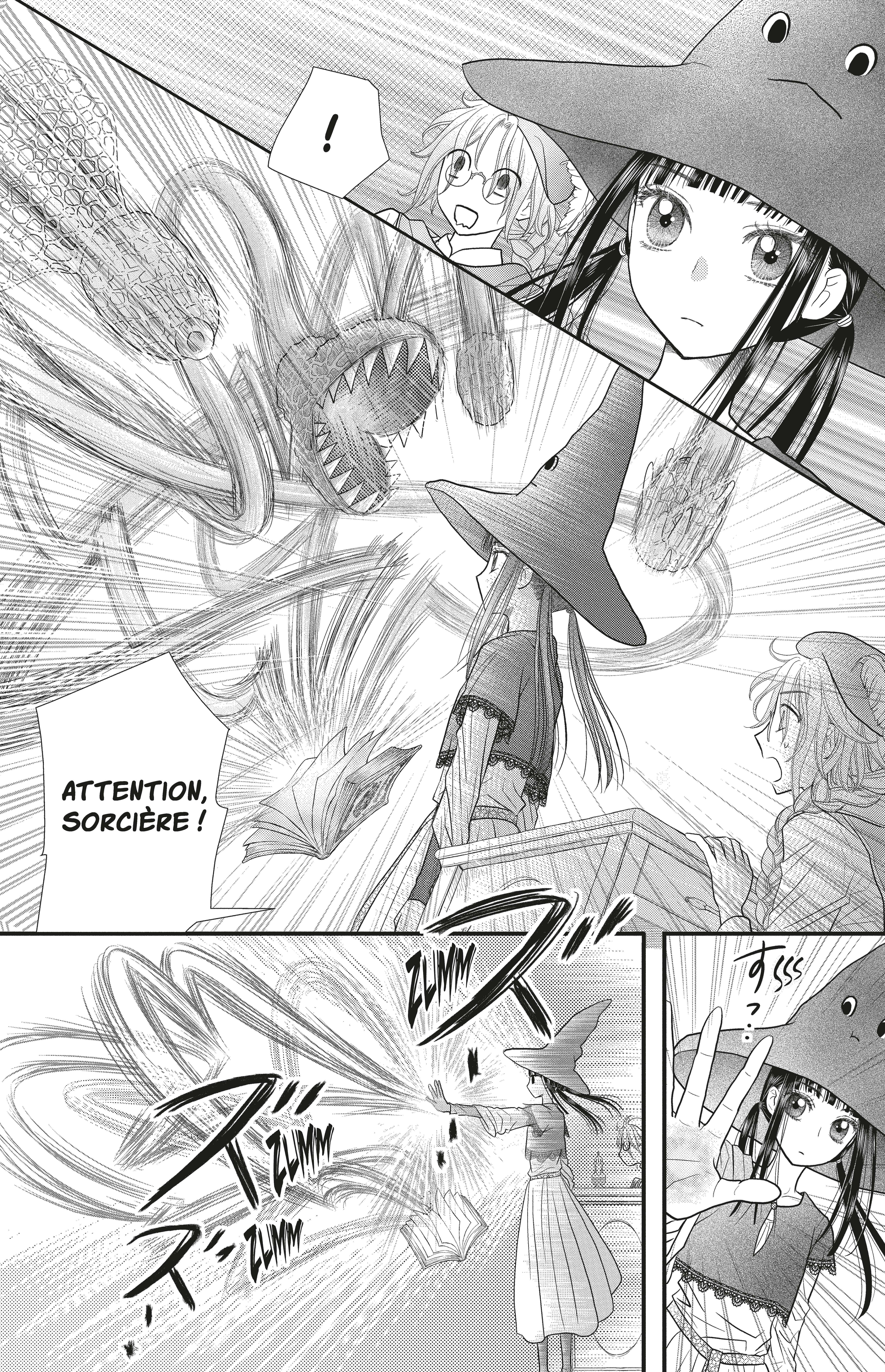 LA SORCIERE AUX CHAMPIGNONS T1