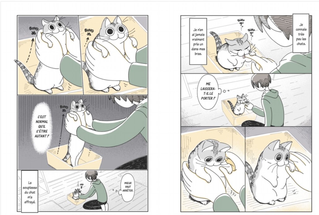 NIGHTS WITH A CAT T1