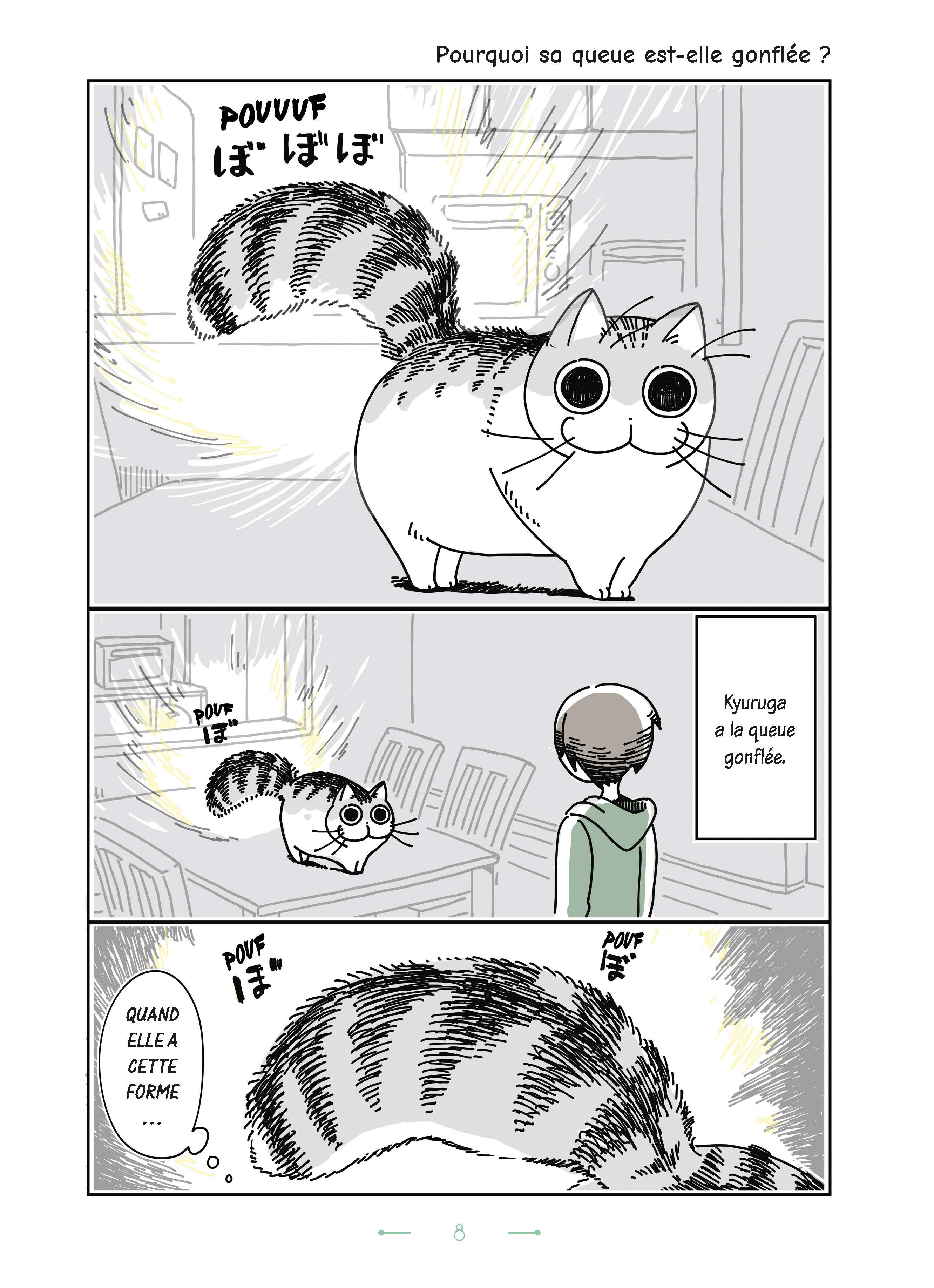 NIGHTS WITH A CAT T2