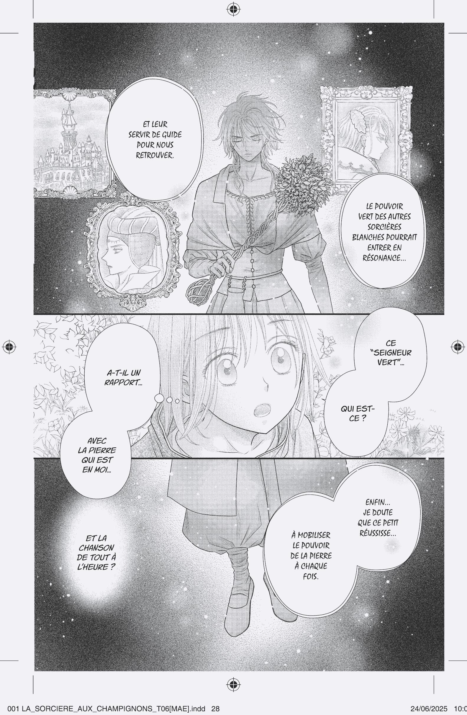 LA SORCIERE AUX CHAMPIGNONS T6