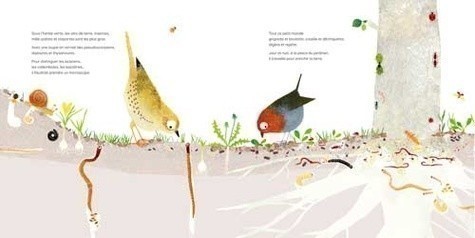 SOUS MES PIEDS. LA VIE DU SOL