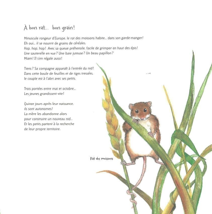 LES ANIMAUX ! - 21 PETITES HISTOIRES NATURELLES