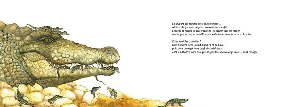 DES BEBES PAR MILLIERS