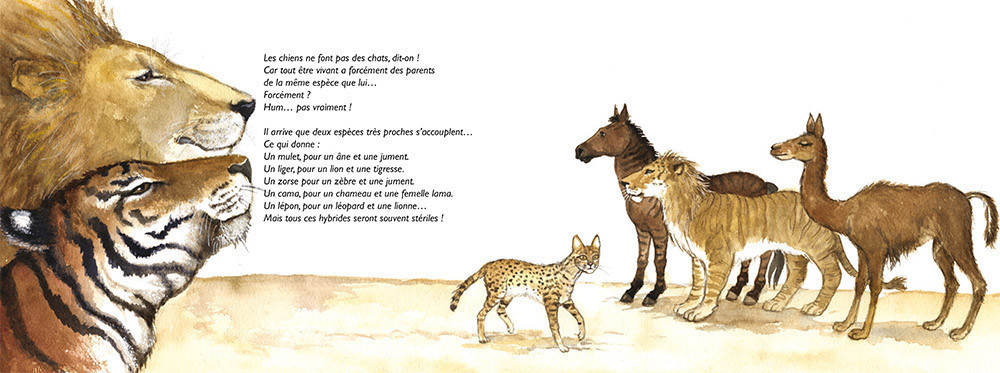 DES BEBES PAR MILLIERS