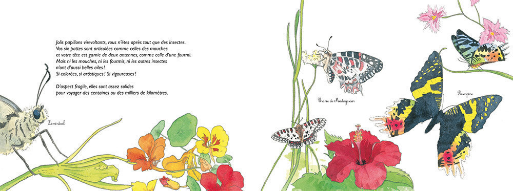 HIER CHENILLES, AUJOURD