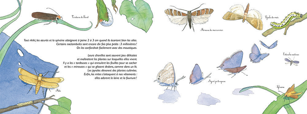 HIER CHENILLES, AUJOURD