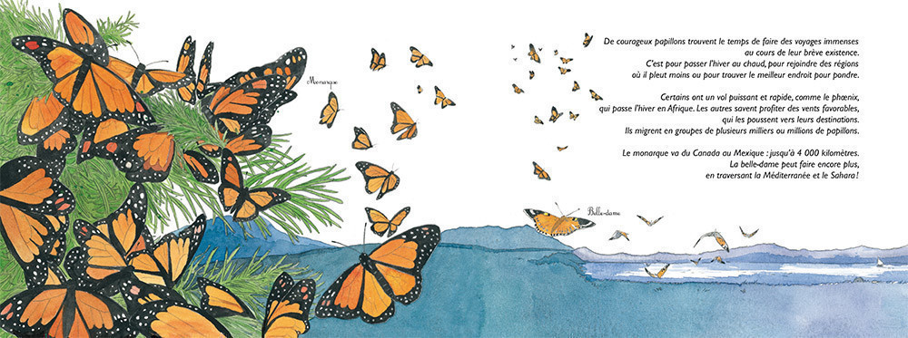 HIER CHENILLES, AUJOURD