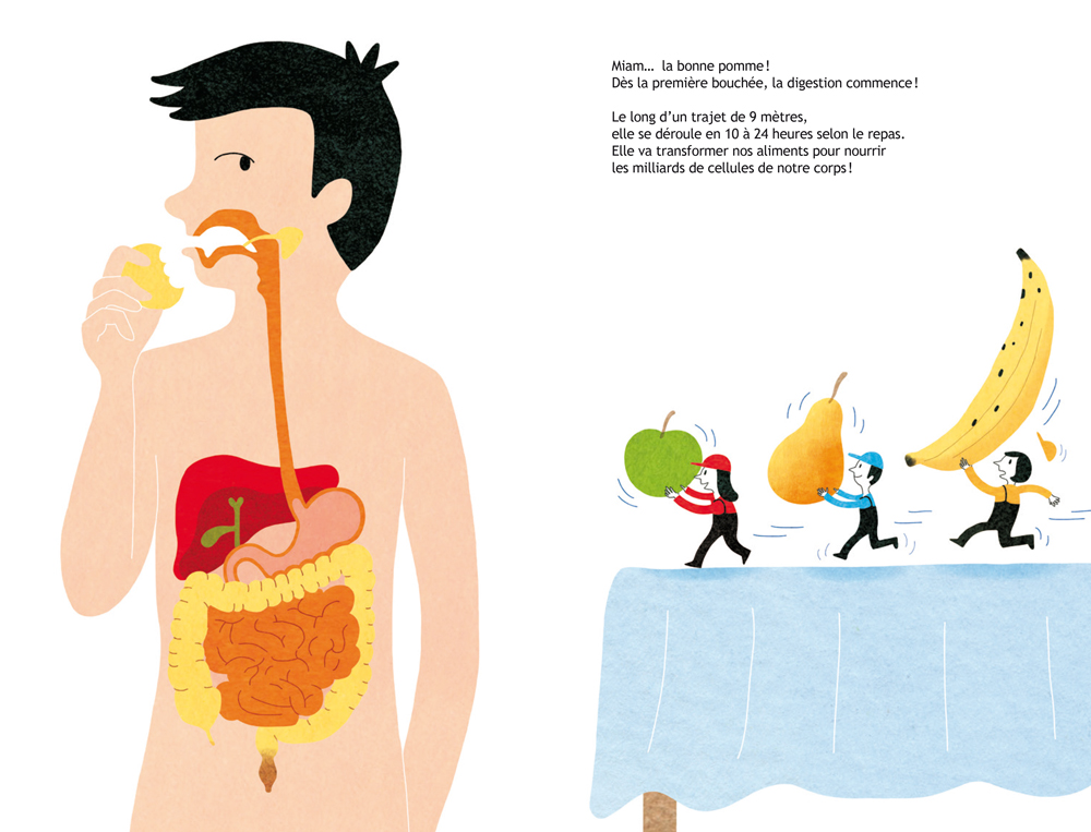 MANGER... ET APRES ? LA DIGESTION