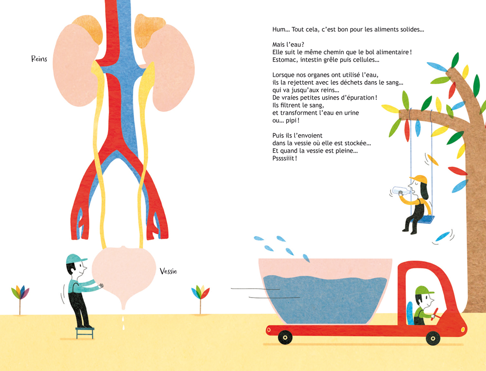 MANGER... ET APRES ? LA DIGESTION