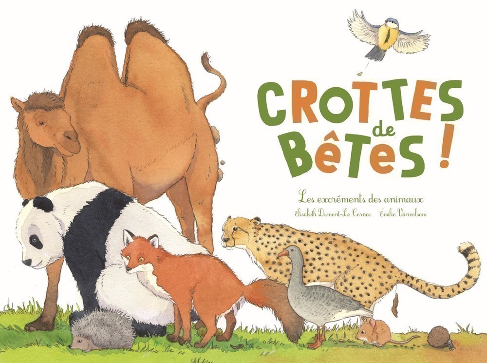 CROTTES DE BETES !