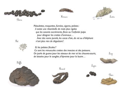 CROTTES DE BETES !