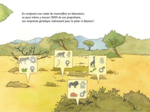 CROTTES DE BETES !