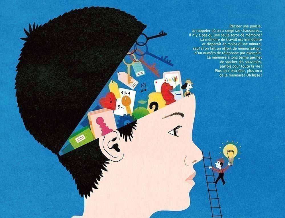 100 % CONNECTE - LE CERVEAU ET LES NEURONES