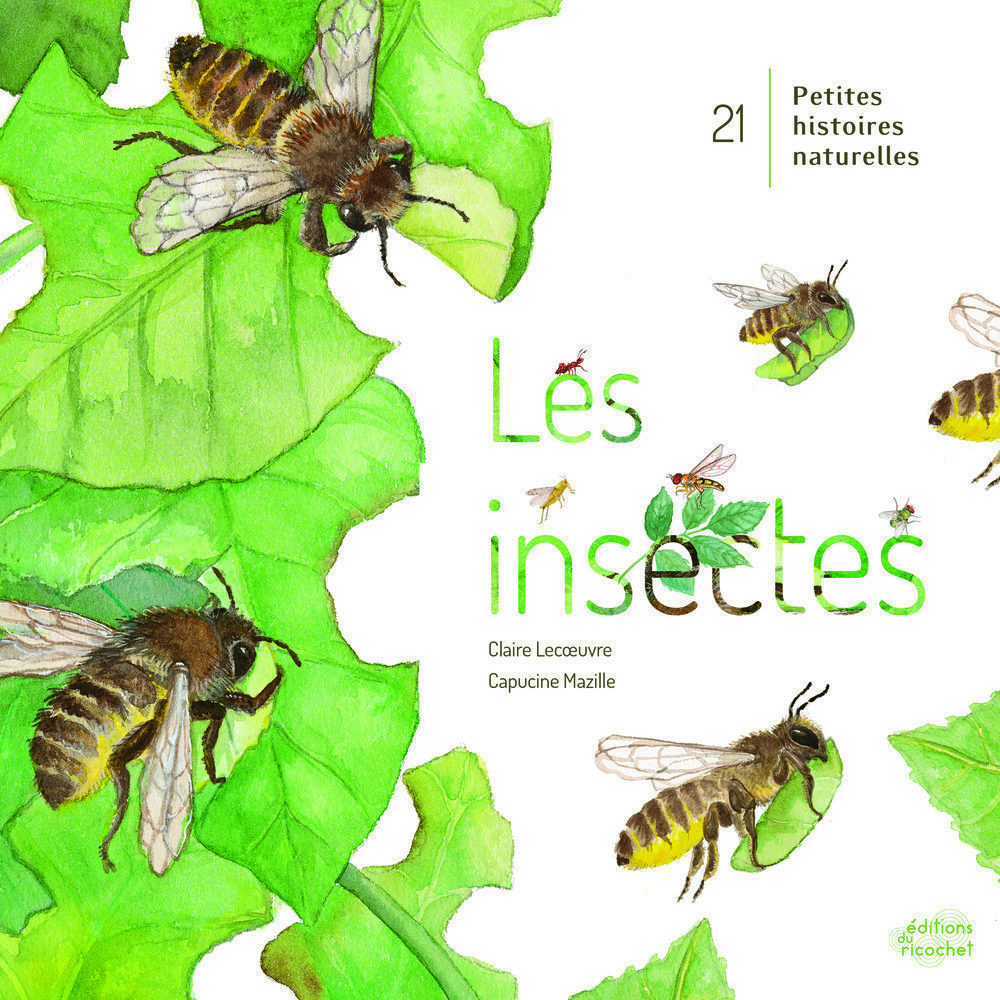 LES INSECTES