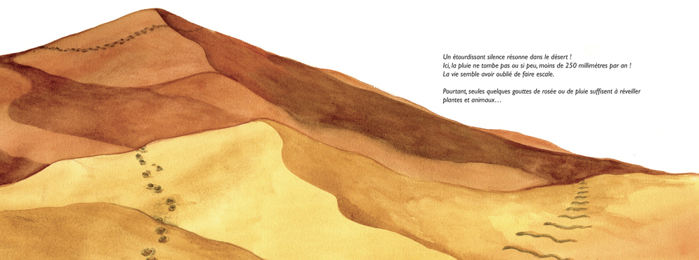 DESSINE-MOI UN DESERT ! : LES MILIEUX ARIDES