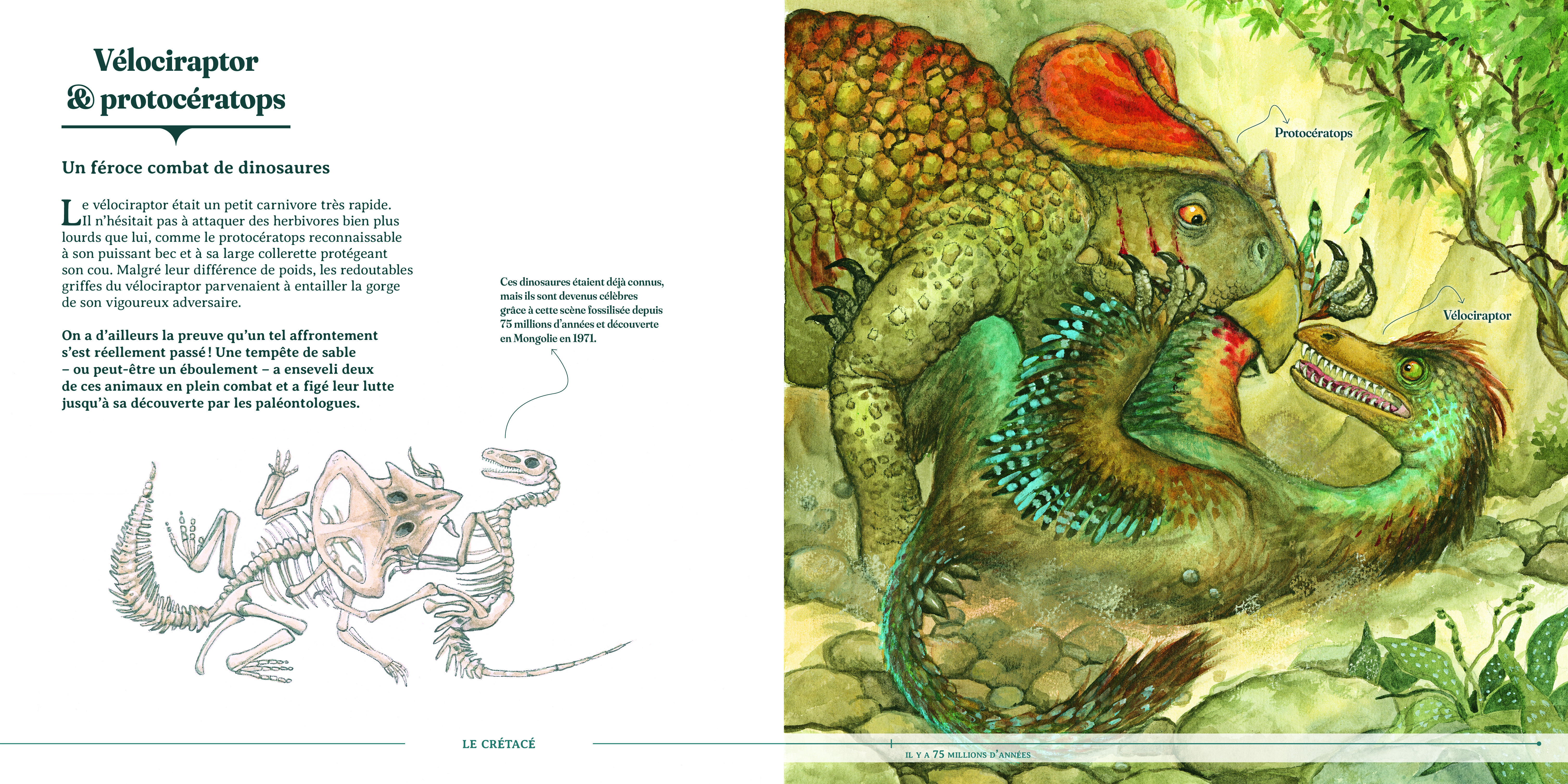 LES ANIMAUX DISPARUS (ET RETROUVES !)