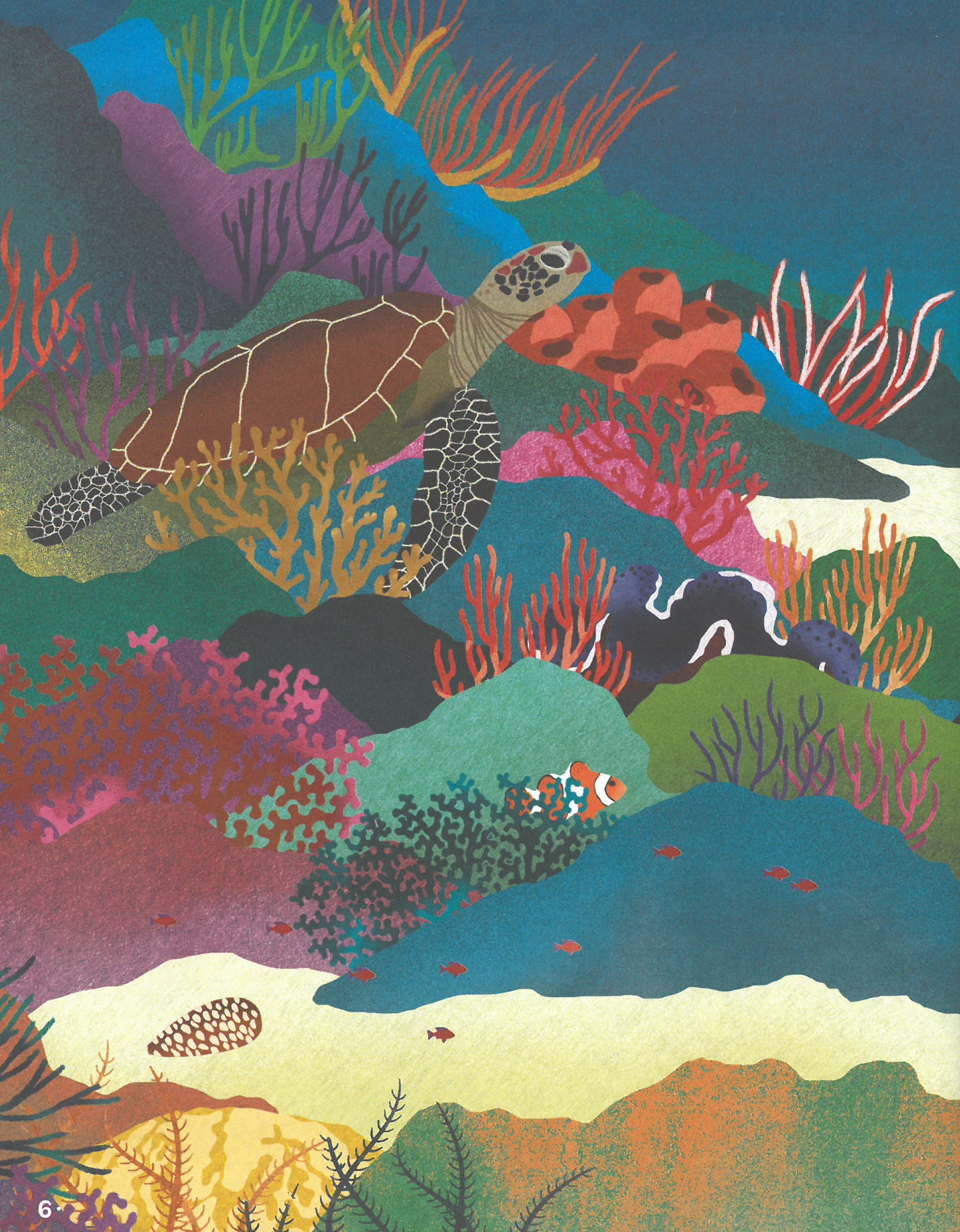 LA GRANDE BARRIERE DE CORAIL