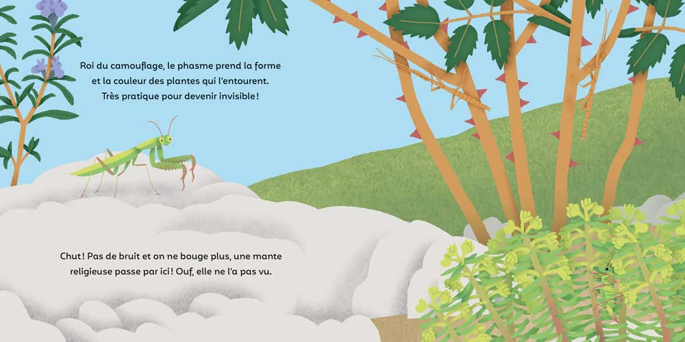 LES P