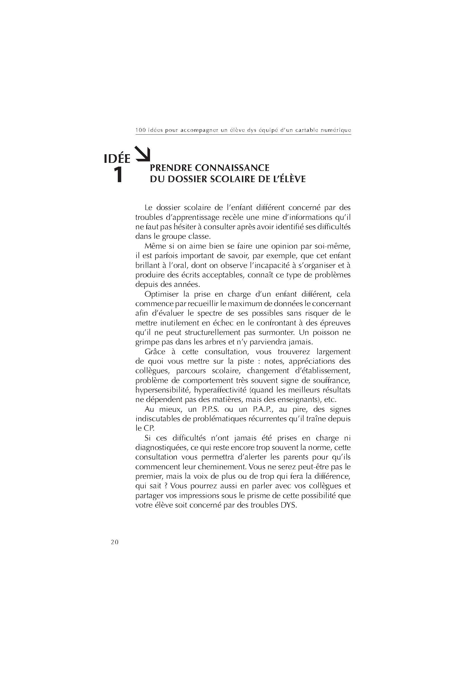 100 IDEES POUR ACCOMPAGNER UN ELEVE DYS EQUIPE D