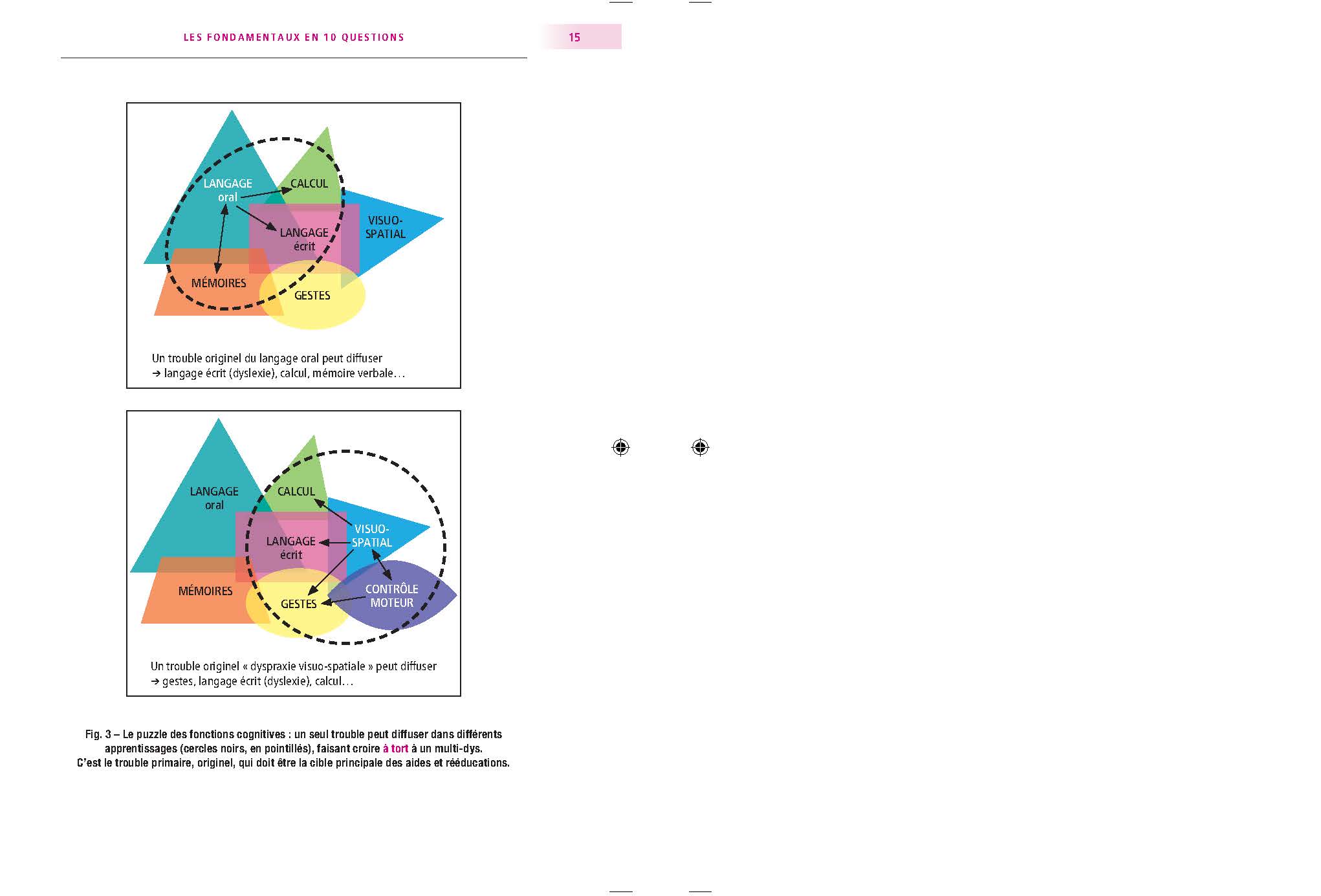 PRISE EN CHARGE ET REEDUCATION DES TROUBLES DYS- : LES FONDAMENTAUX EN 10 QUESTIONS