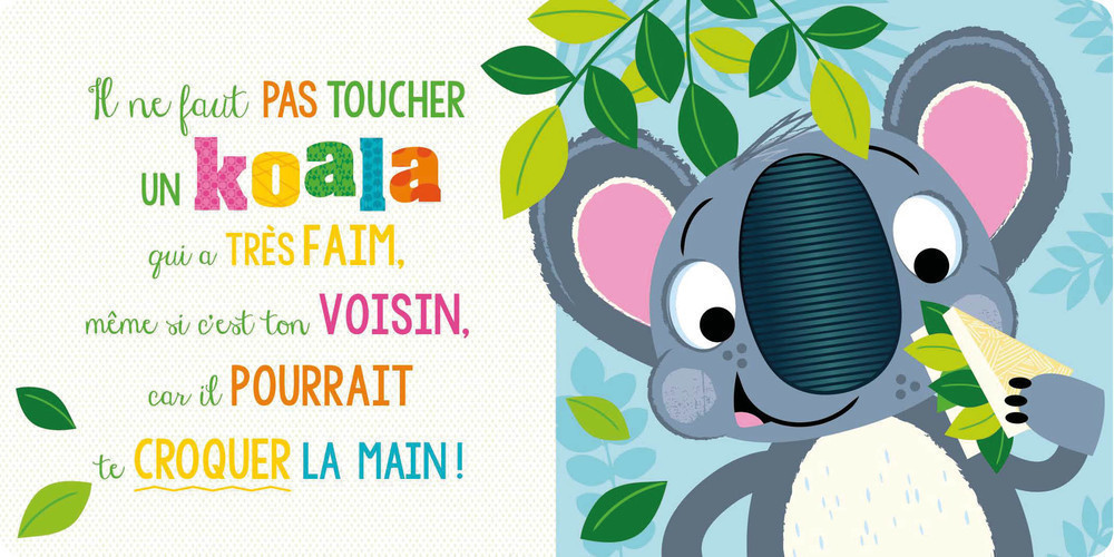 IL NE FAUT PAS TOUCHER UN KOALA