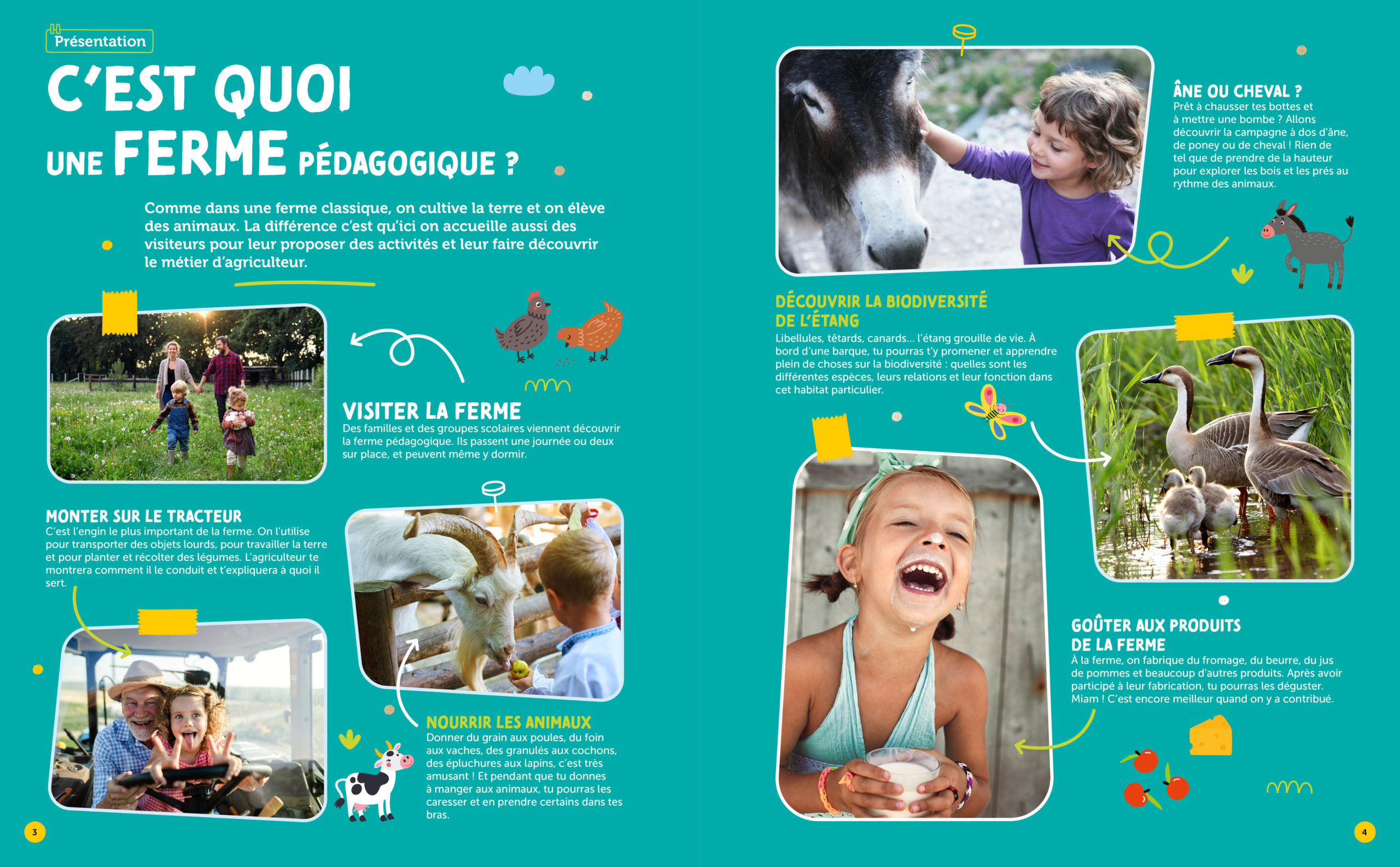 MA VISITE A LA FERME
