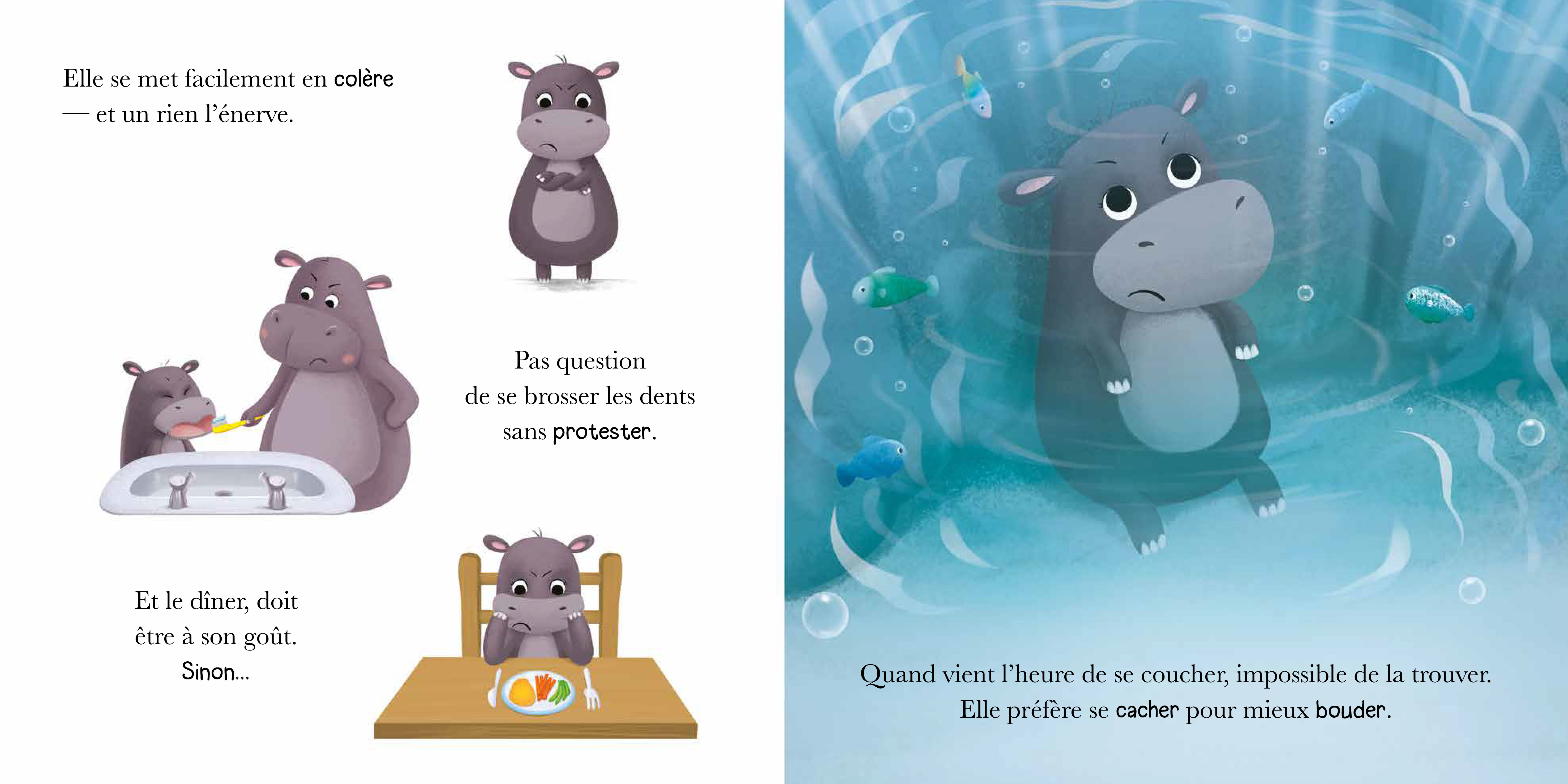 HIPPO EST EN COLERE