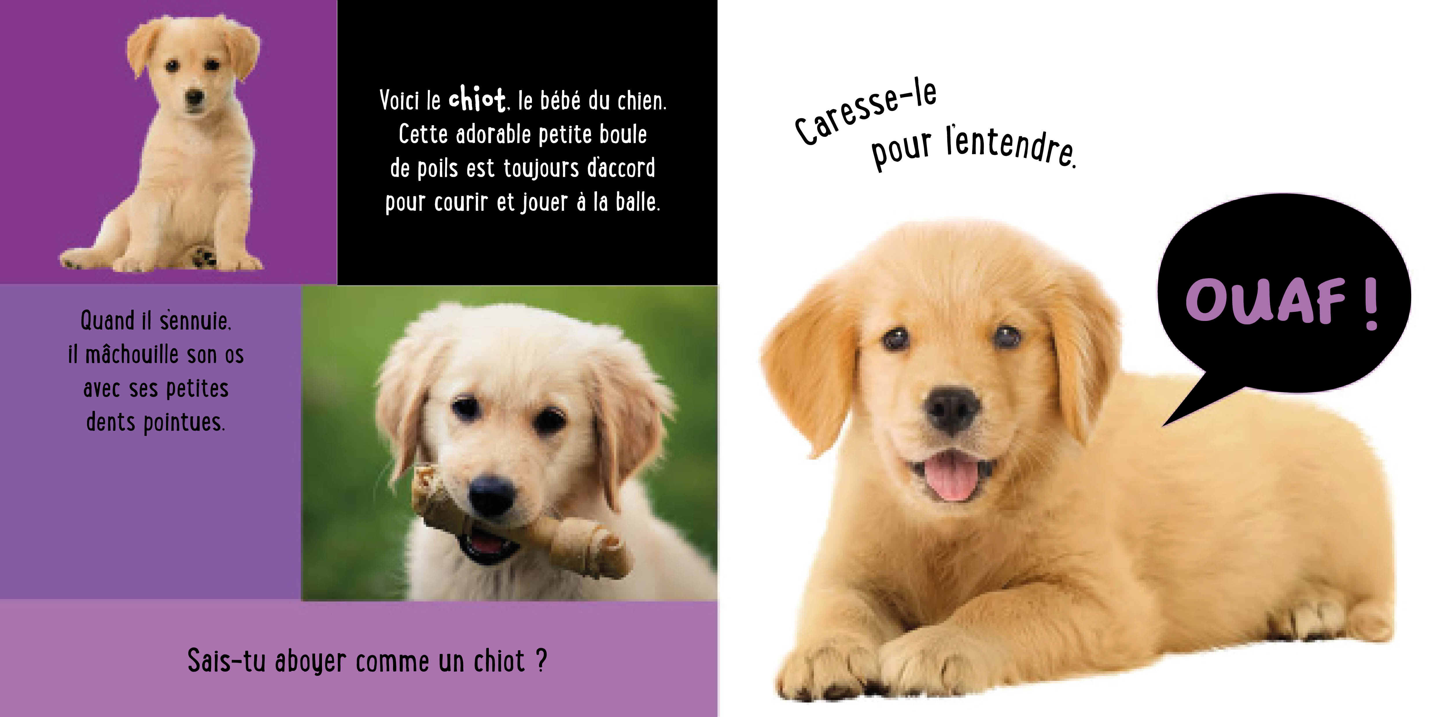 LES BEBES ANIMAUX : MON PREMIER LIVRE SONORE A TOUCHER