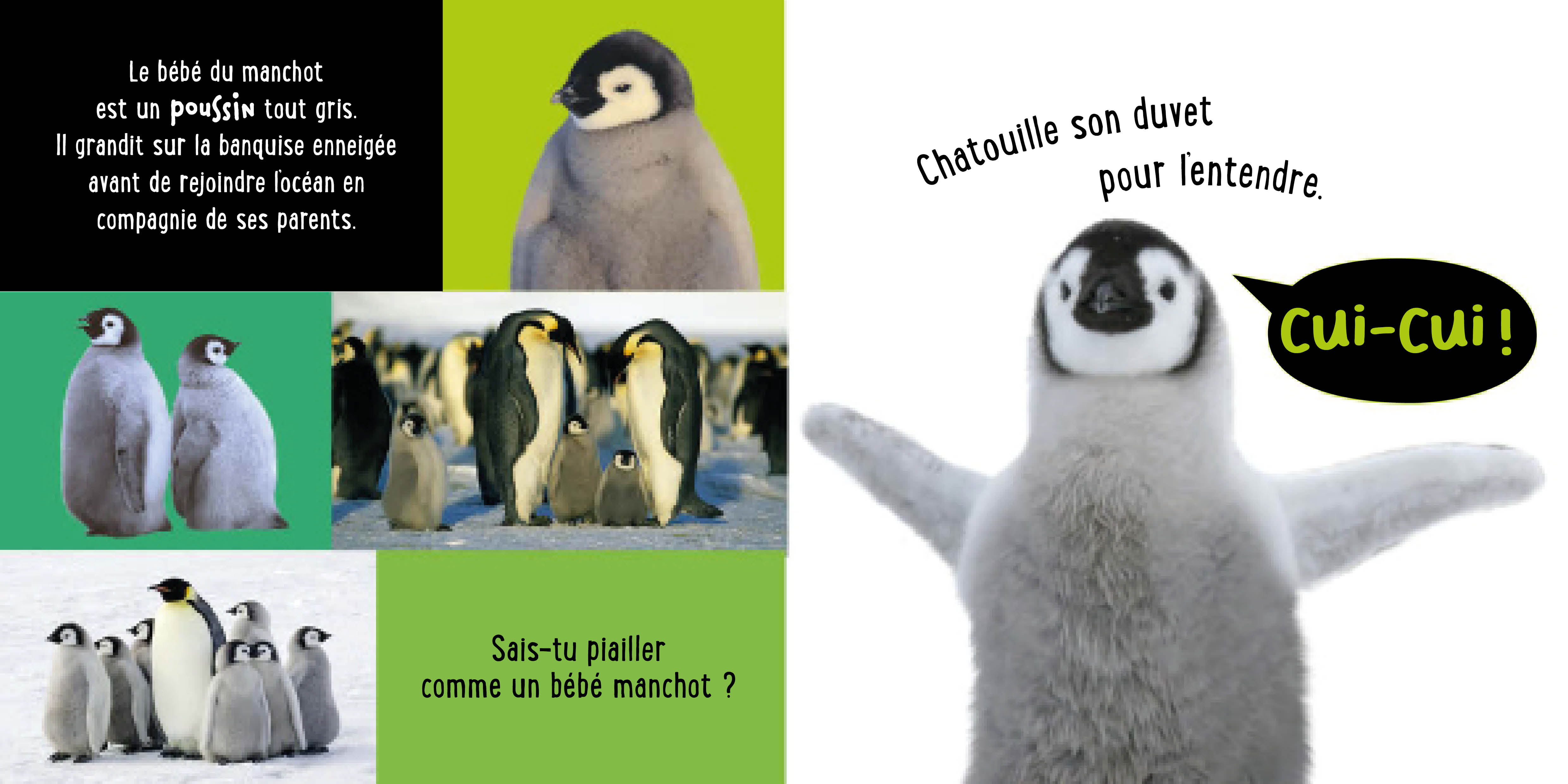 LES BEBES ANIMAUX : MON PREMIER LIVRE SONORE A TOUCHER