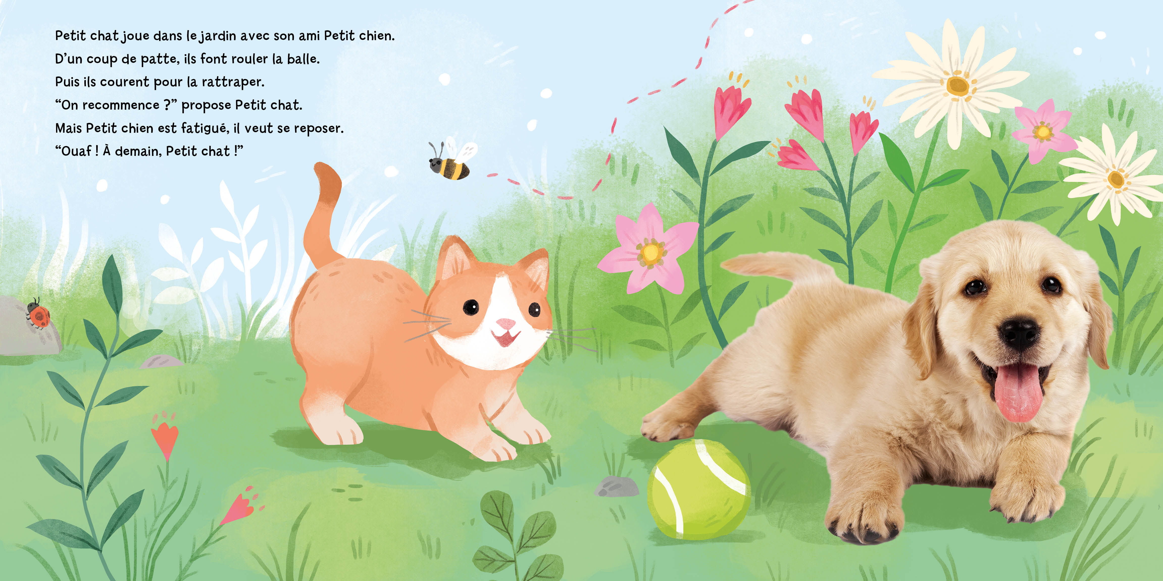PETIT CHAT ET SES AMIS