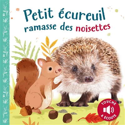 PETIT ECUREUIL RAMASSE DES NOISETTES