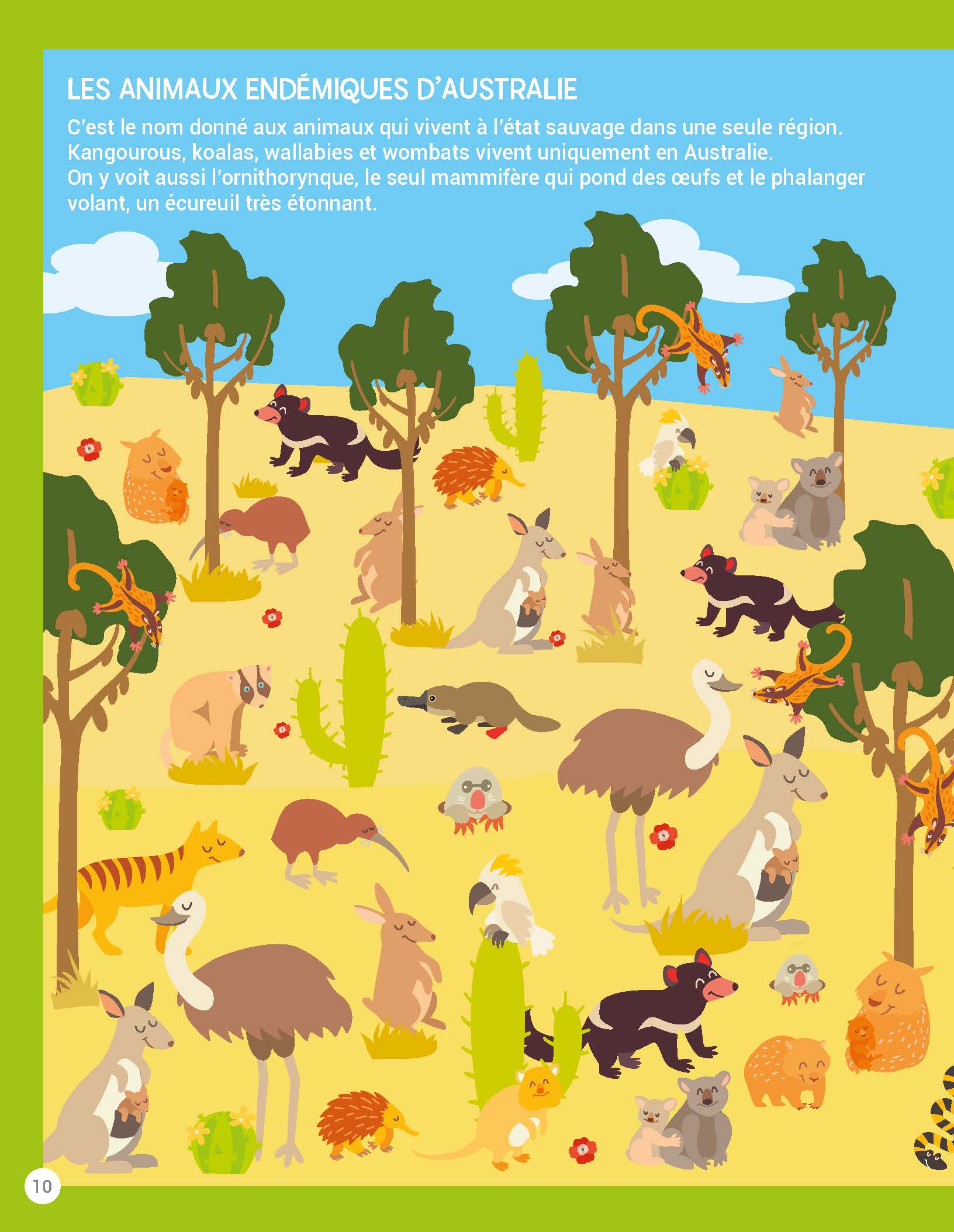 CHERCHE ET TROUVE ANIMAUX SAUVAGES 