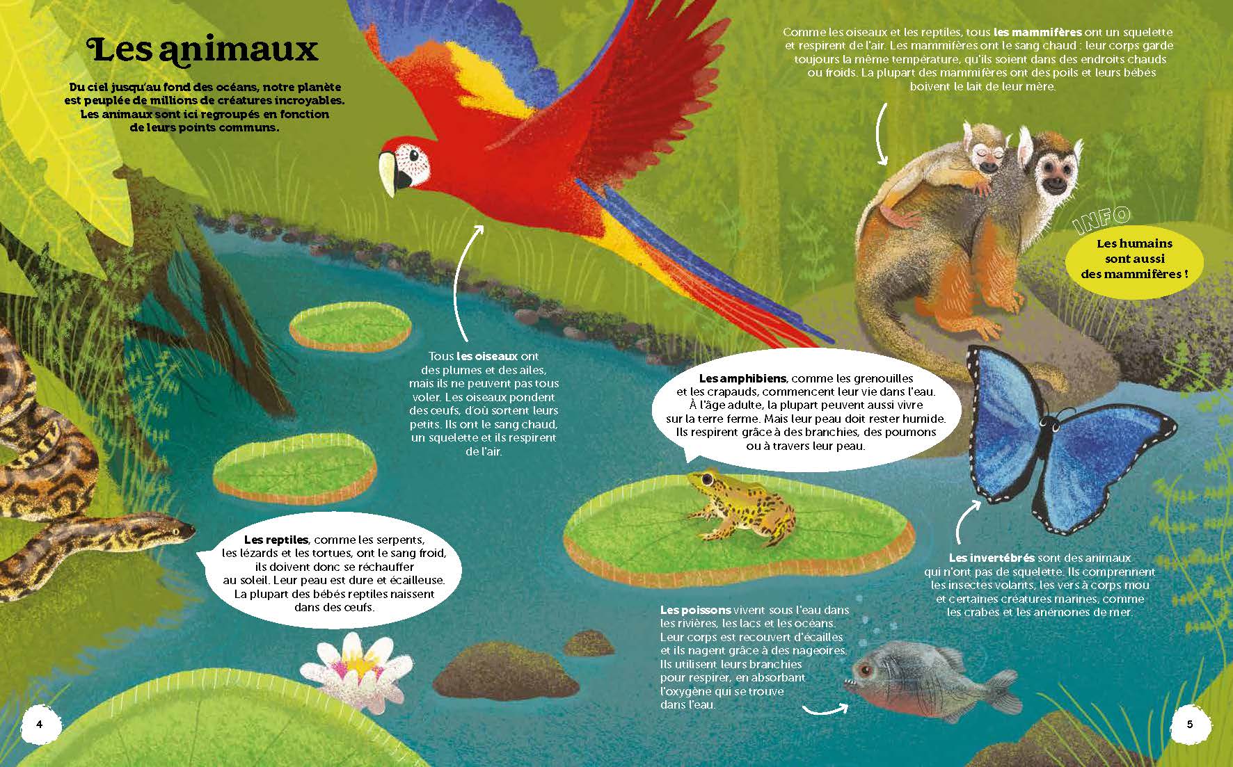 LES MERVEILLES DE LA NATURE