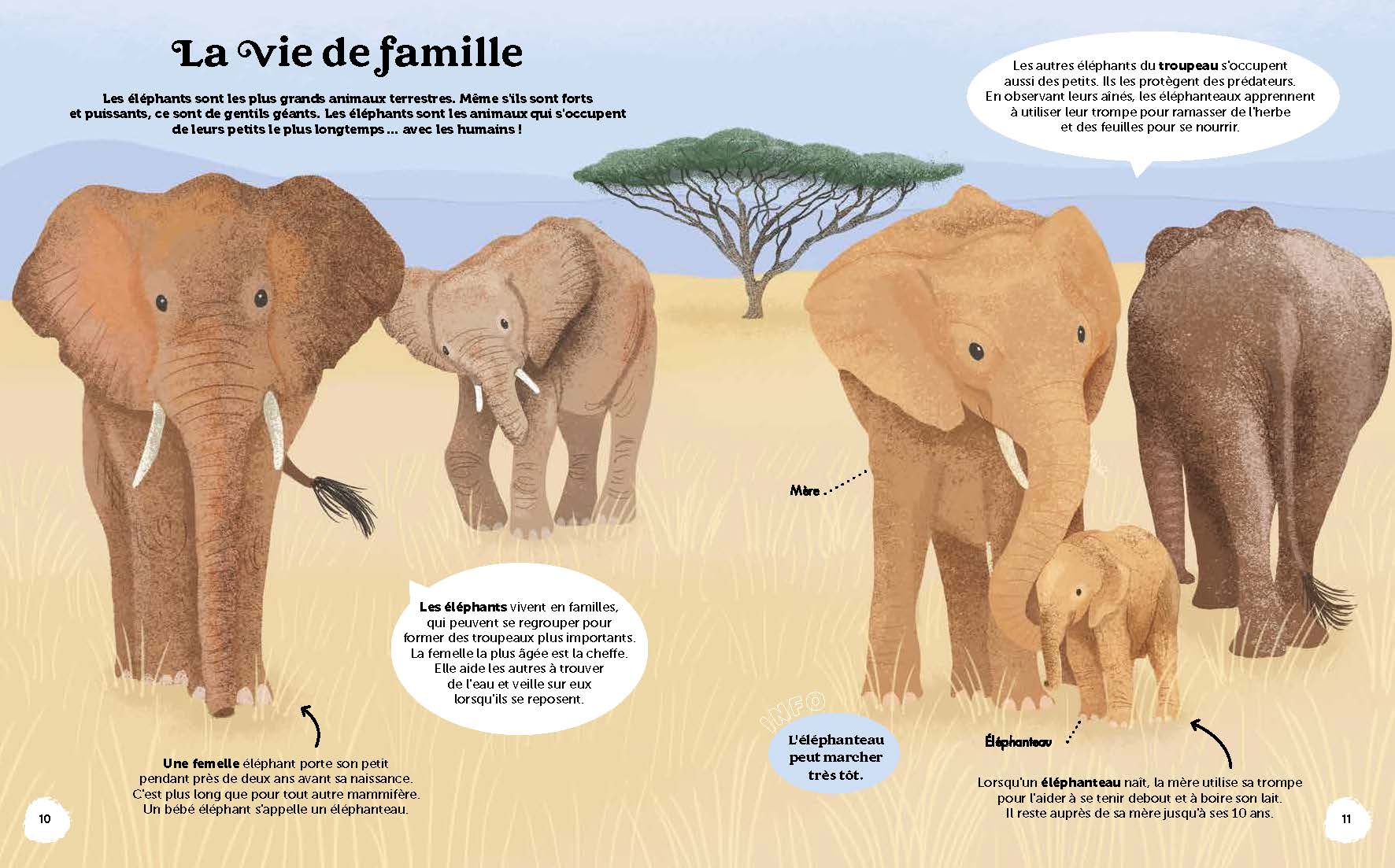 LES MERVEILLES DE LA NATURE