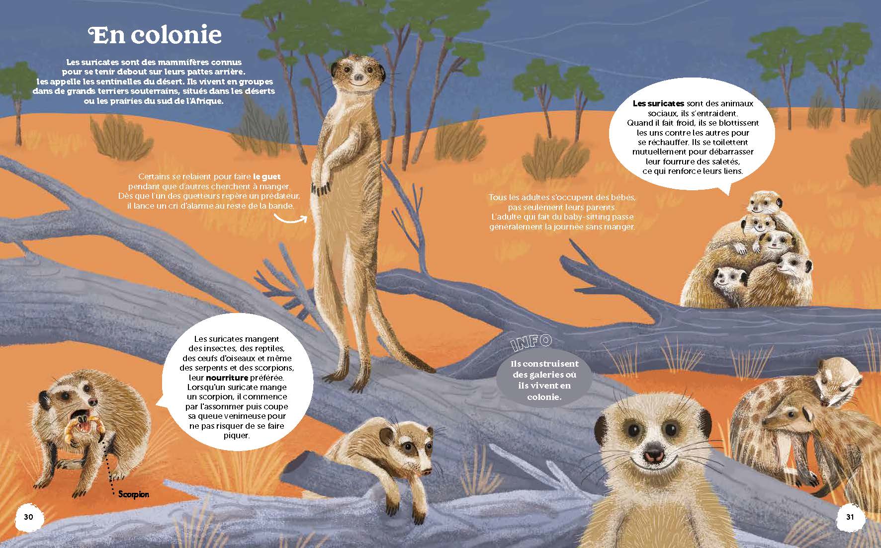 LES MERVEILLES DE LA NATURE
