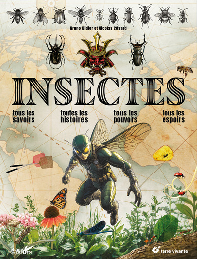 INSECTES