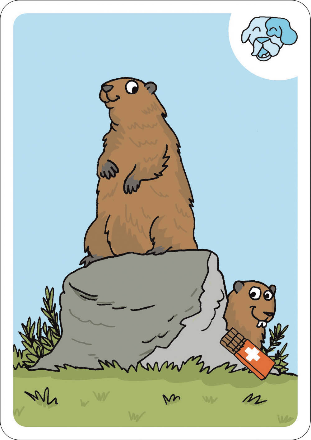 Jeu Du Menteur Suisse