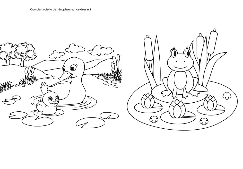 Mon Grand Livre De Coloriage - La Suisse