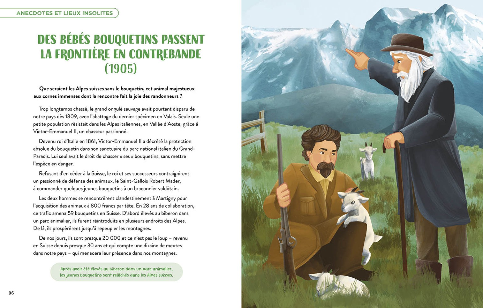 La Suisse En 100 Histoires Incroyables