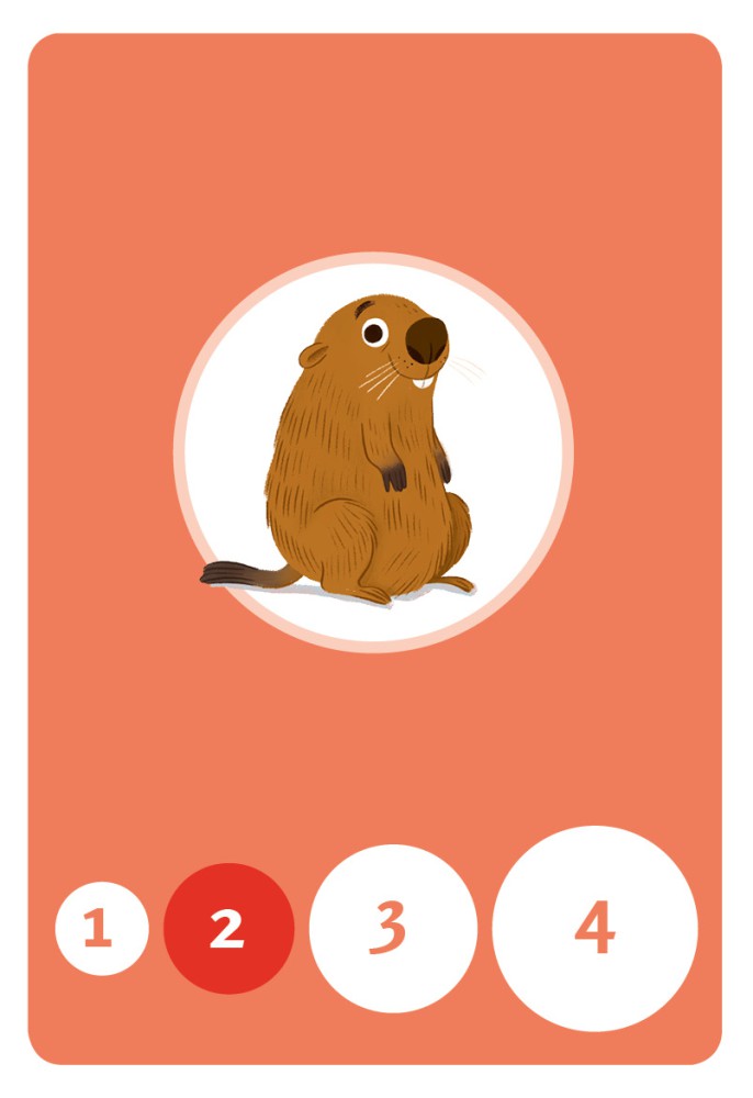 Jeu De Bataille - Les Animaux De Suisse