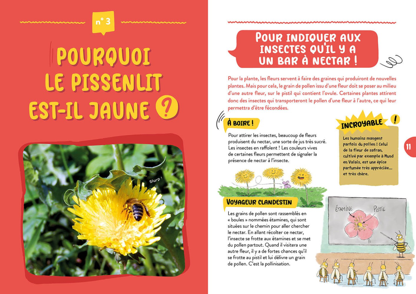 L'edelweiss Existe-T-Il Vraiment ?