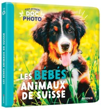 Mon premier doc photo - Les bébés animaux de Suisse