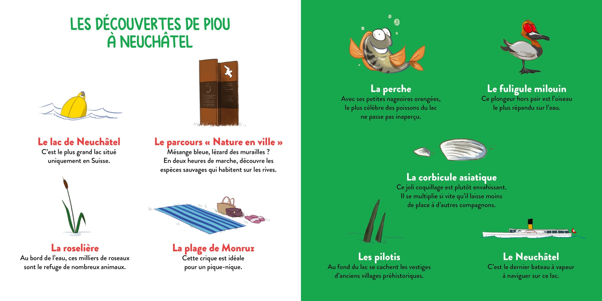 Piou Le Coucou À Neuchâtel