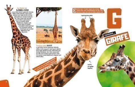 ABC DES ANIMAUX