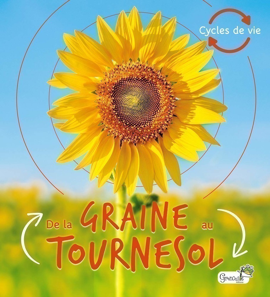 DE LA GRAINE AU TOURNESOL