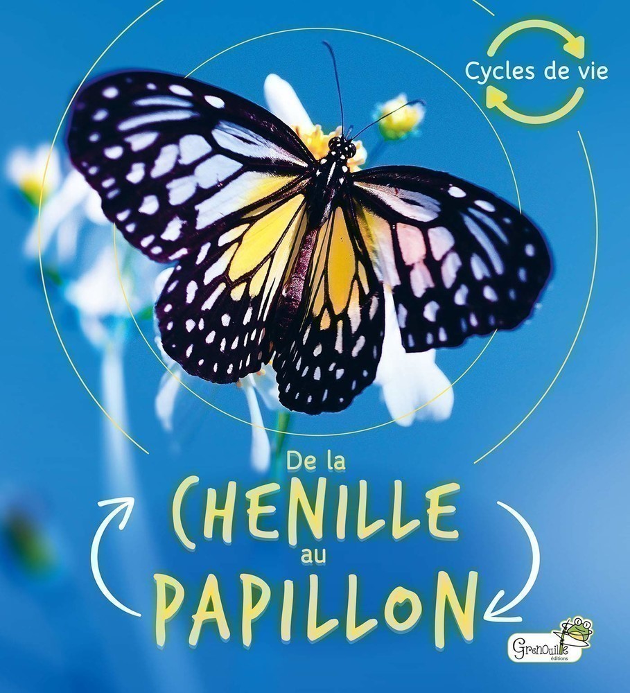 DE LA CHENILLE AU PAPILLON