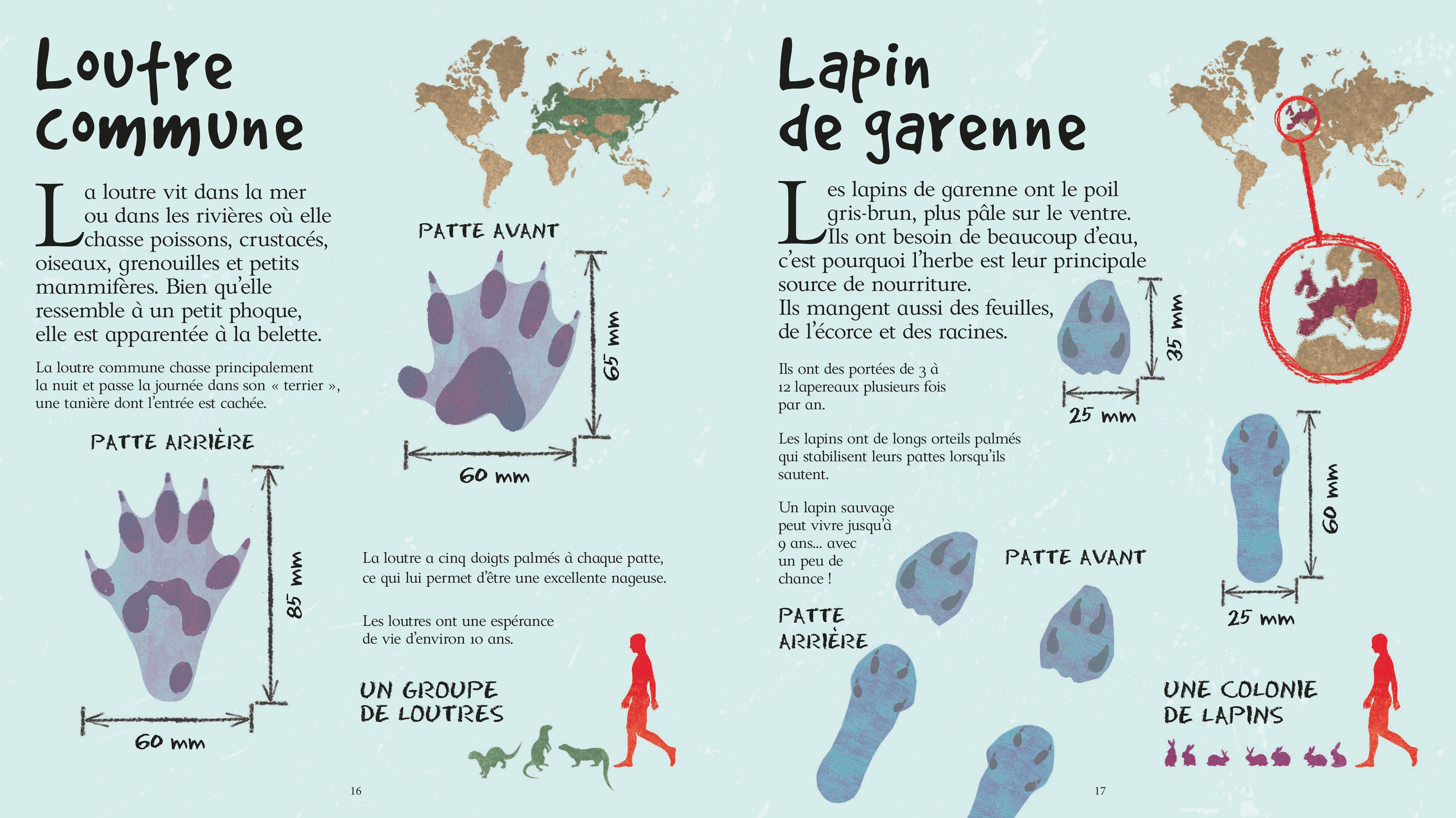 LES TRACES DES ANIMAUX
