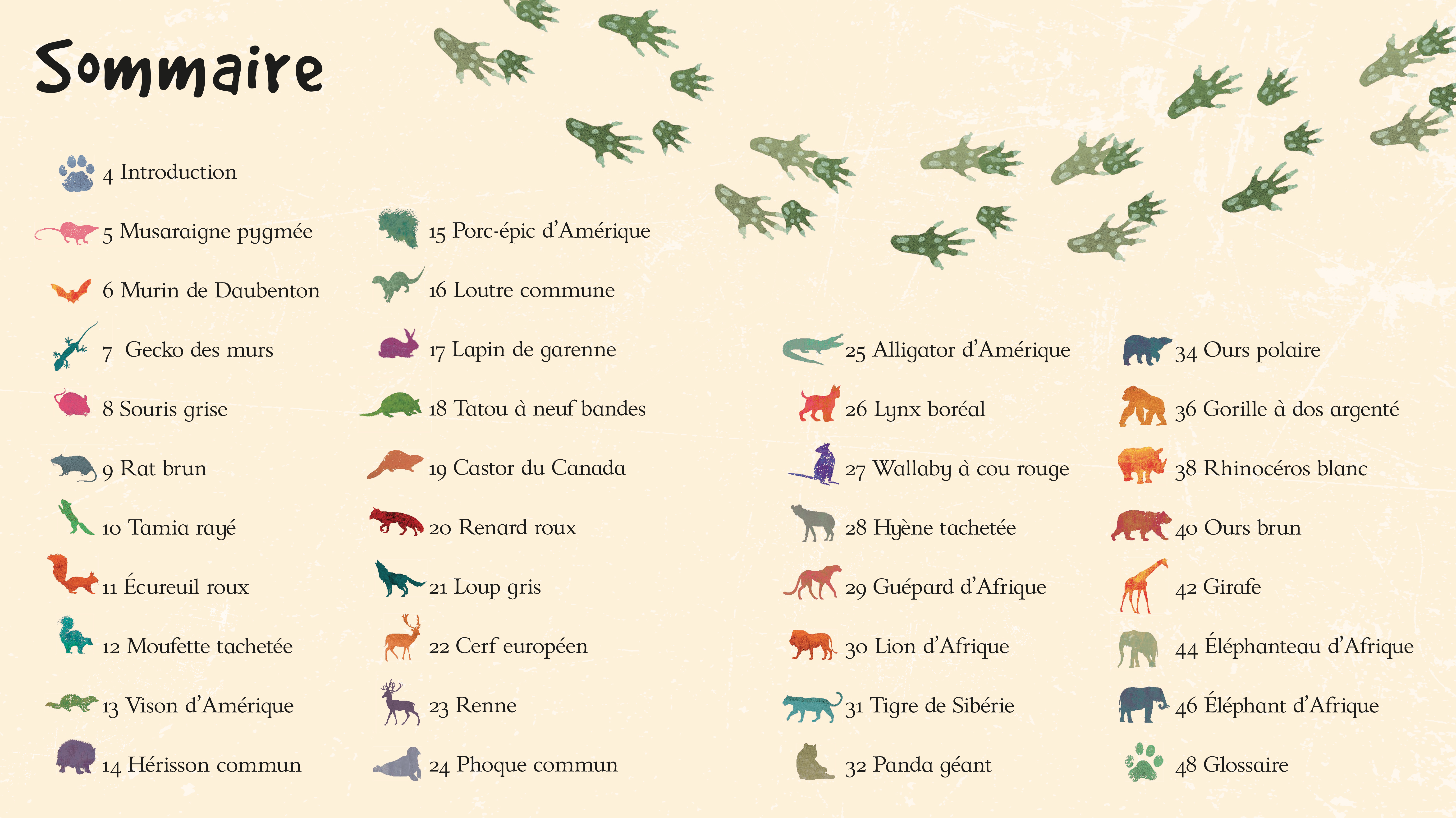 LES TRACES DES ANIMAUX